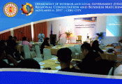 DILG P4: Regional Consultation and Business Matching